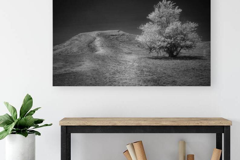 Silent Beauty: Navigating the Badlands with My Companions by Dream World Images