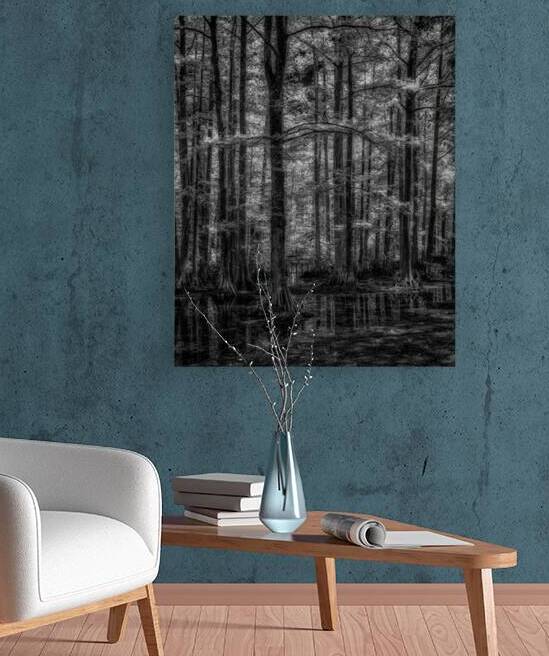 Cypress Whispers at Dawn by Dream World Images