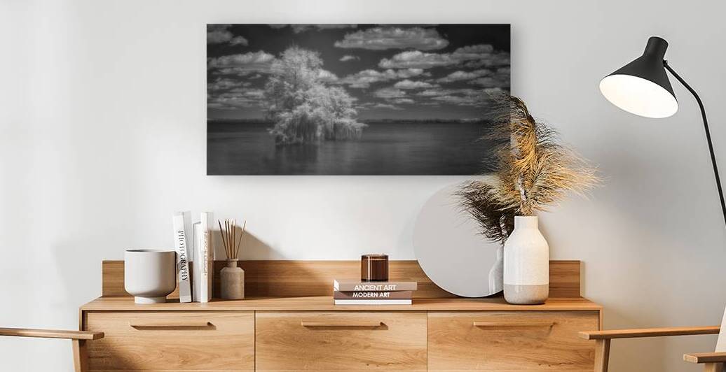 Exploring Serenity: Santee State Parks Cypress Oasis in Stunning Infrared by Dream World Images