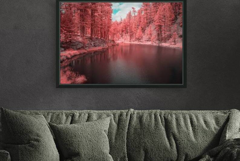 Radiant Tranquility: A Stroll Along Grace Coolidge Lakes Infrared Wonderland in South Dakota by Dream World Images