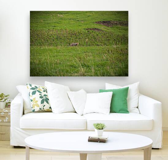 Wild Encounters: In the Presence of the Wild by Dream World Images