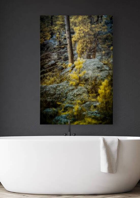 Solitude Amidst Serenity: The Lone Pine Tree by the Lake by Dream World Images