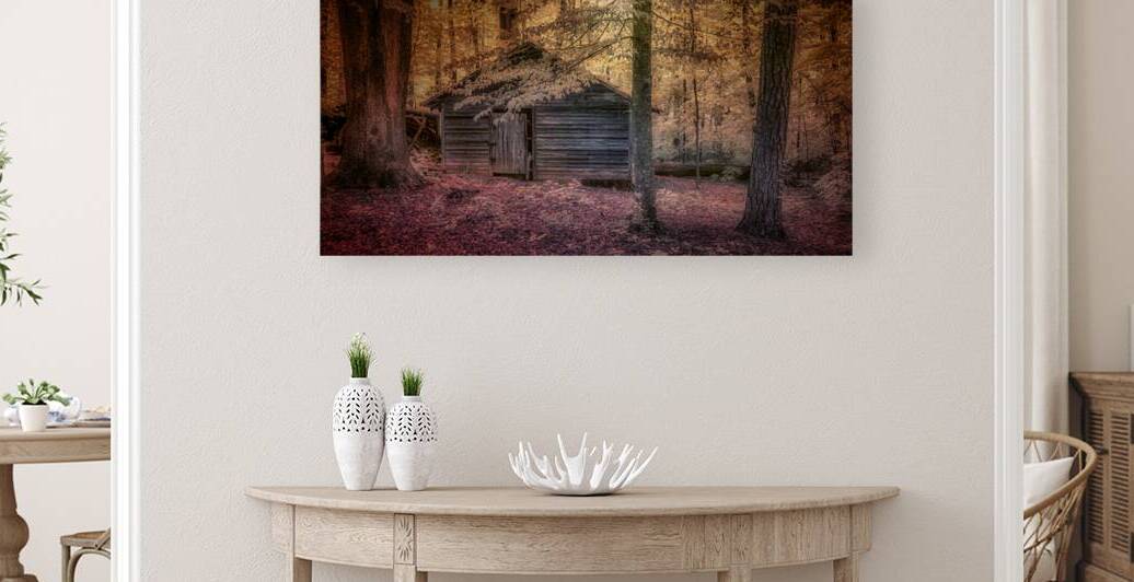 Abandoned Cabin Sanctuary by Dream World Images