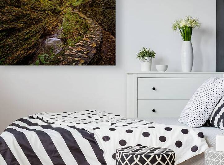 Autumn In the Gorge by Dream World Images