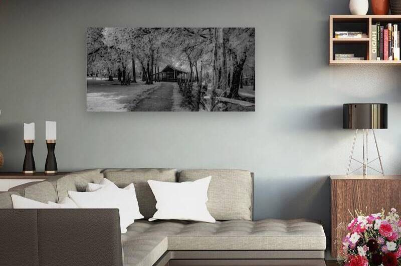 Barn Path by Dream World Images