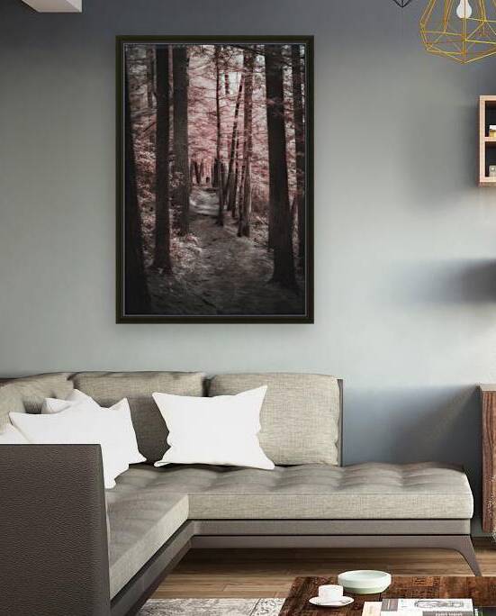 Mystical Forest Walk by Dream World Images