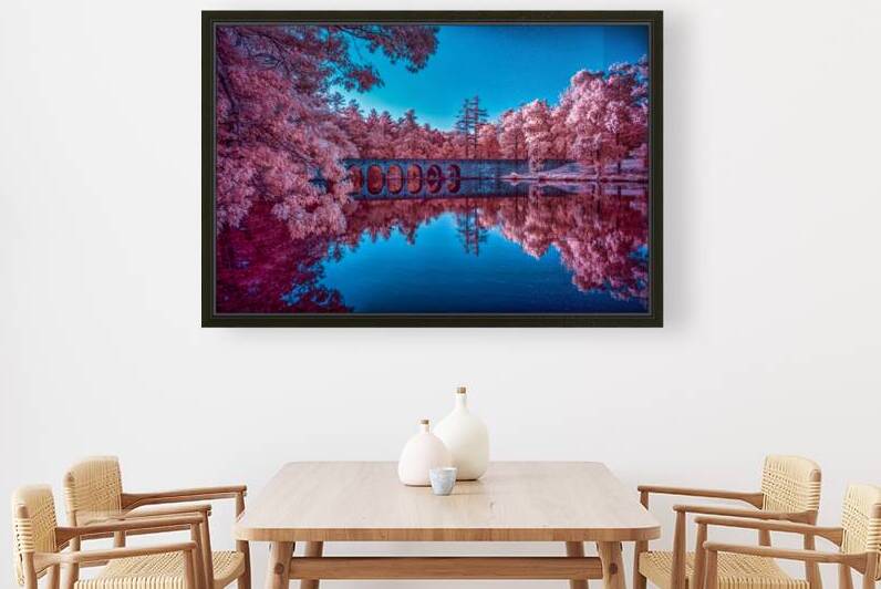 Infrared Oasis: Pink Arches by Dream World Images