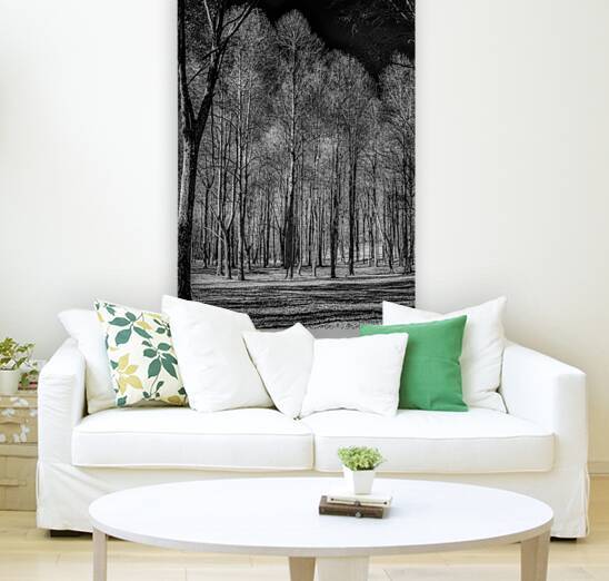 Winters Monochrome Symphony: A Stark Journey Through Knoxvilles Enchanted Woodlands by Dream World Images