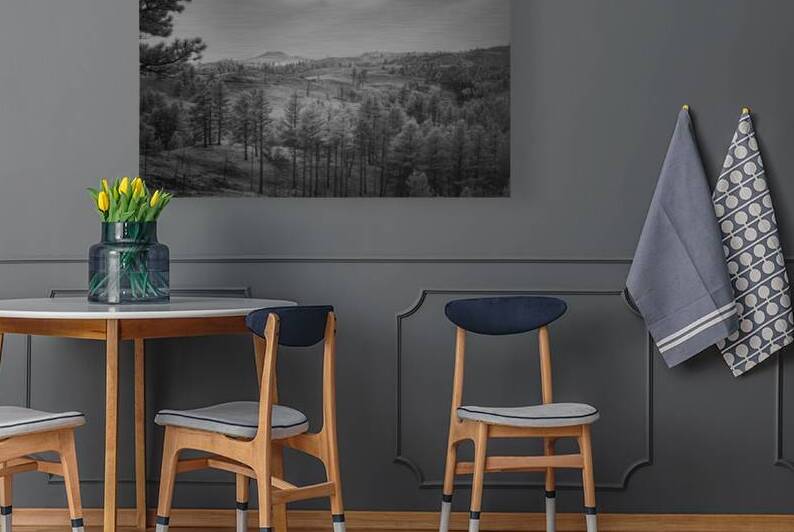 Shadows of The Pines: Exploring the Wilderness of Custer State Park by Dream World Images