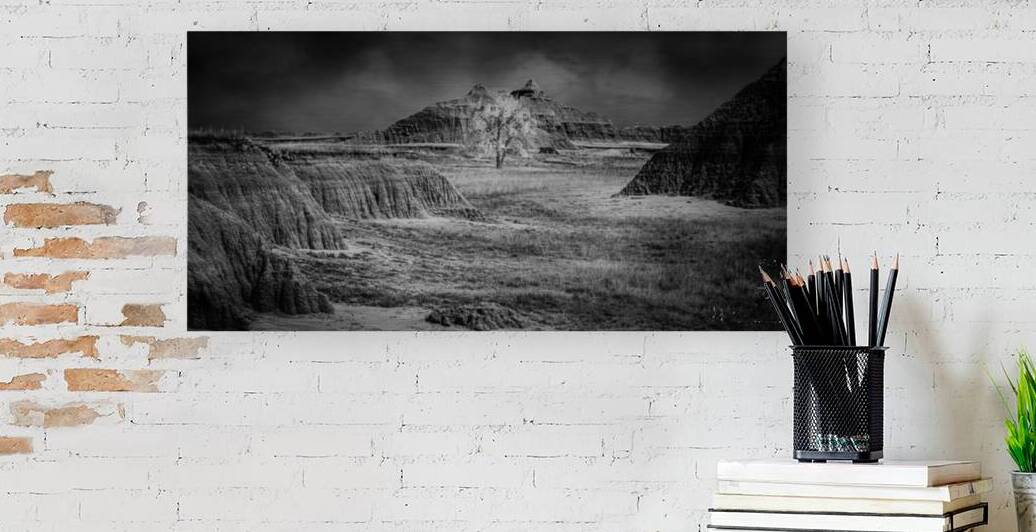 Solitary Sentinel of the Badlands by Dream World Images