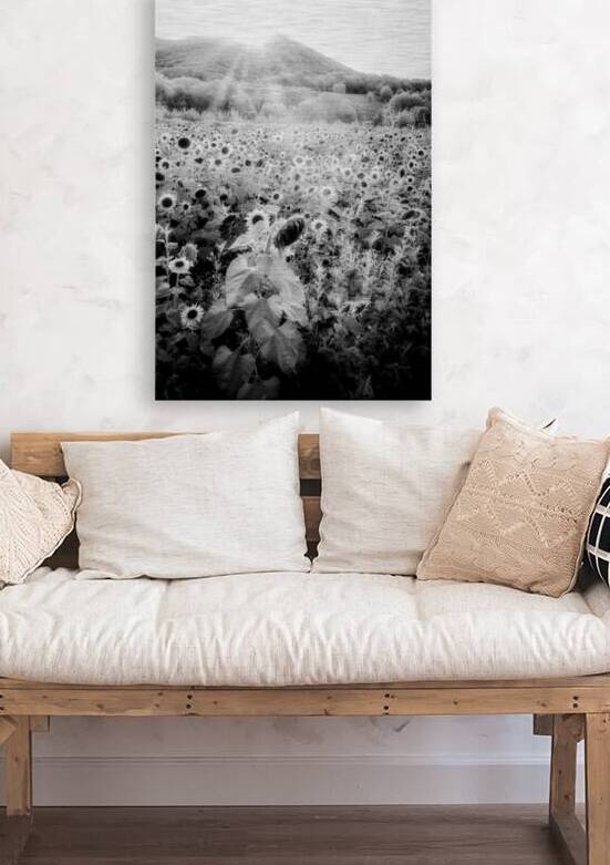 Sunflower Setting by Dream World Images