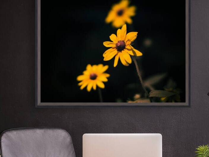 Natures Palette: Full Spectrum Imagery Showcasing Tennessees Black-Eyed Susan Blossoms by Dream World Images