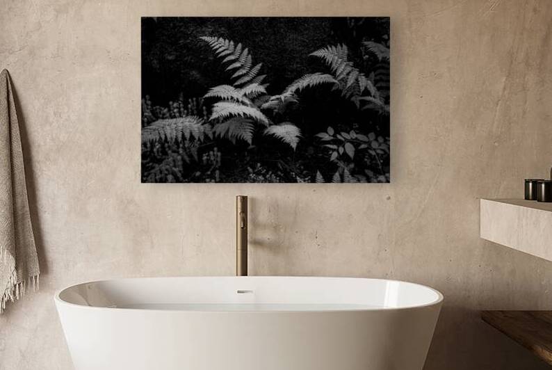 Ferns - 1 by Dream World Images