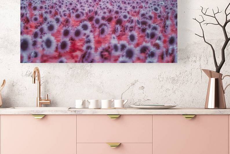 Pink Sunflowers by Dream World Images