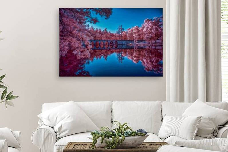 Infrared Oasis: Pink Arches by Dream World Images