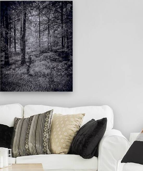 Whispers of the Forest: A Mystical Pathway Home by Dream World Images