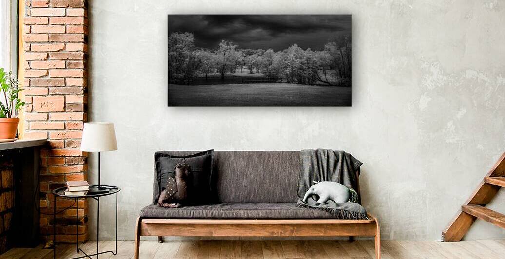 Moody Moments: Texas Roadside Pond by Dream World Images