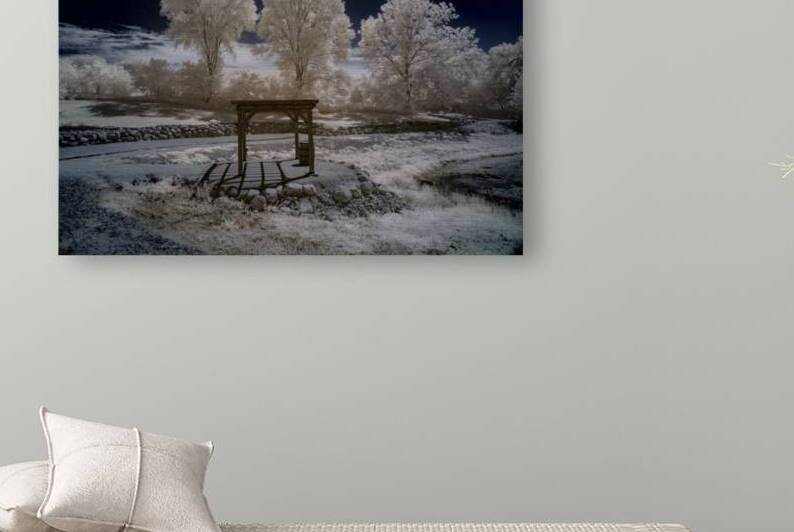 Frosted Tranquility Trelles by Dream World Images