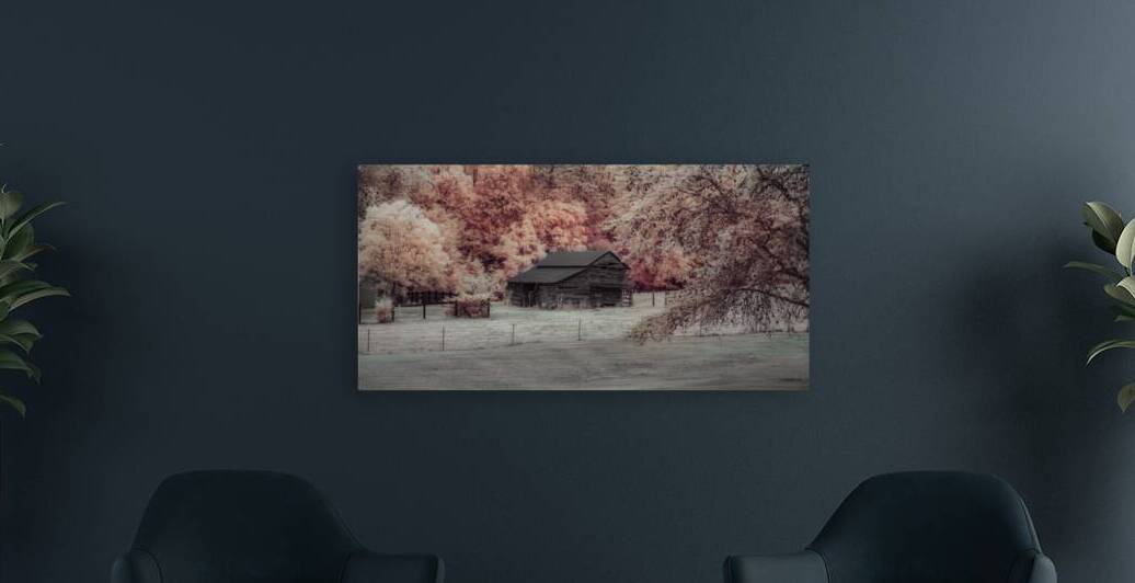 Rustic Charm: Exploring the Time-Worn Beauty of a Rural Tennessee Barn by Dream World Images