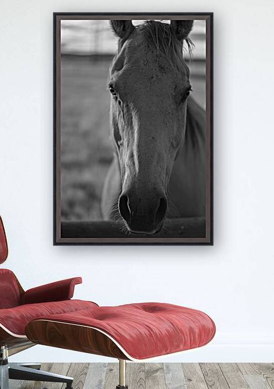 Soulful Connection with Ernie: A Tale of Harmony by Dream World Images