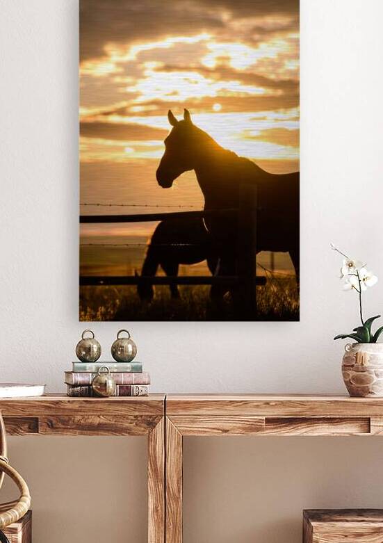 Sillouhette of Ernie by Dream World Images