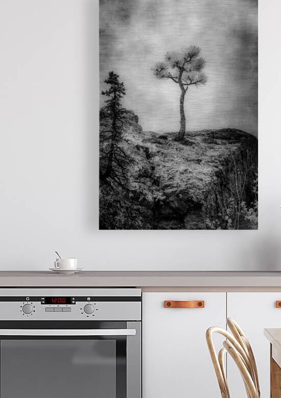 Serene Sylvan Lake: Alone on the Hill by Dream World Images