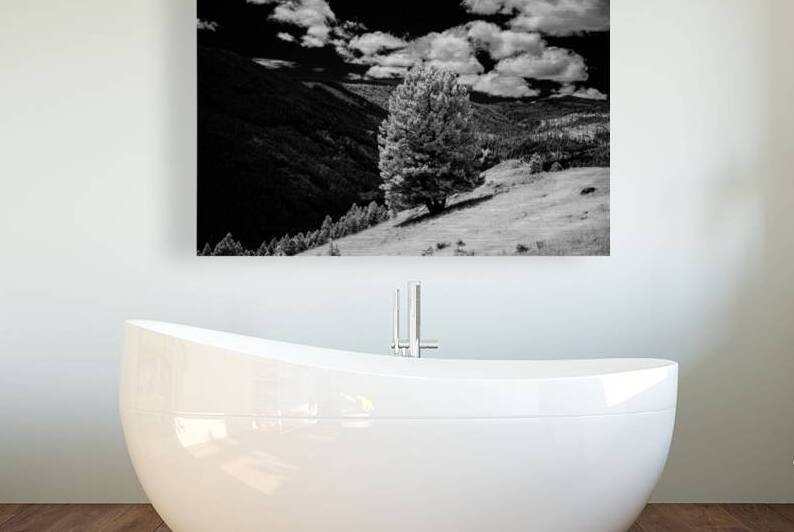 Marysville Lone Tree by Dream World Images