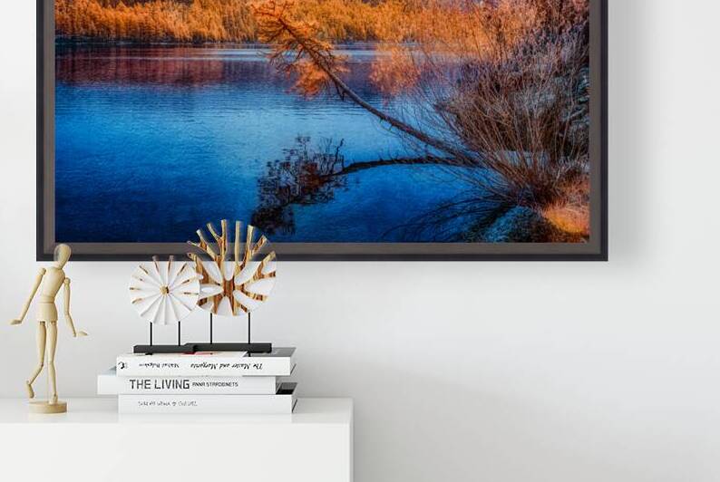 Arboreal Embrace: Trees Embracing the Tranquil Waters by Dream World Images