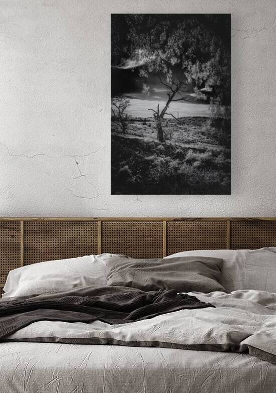 Veiled Guardian of Ancient Hills by Dream World Images