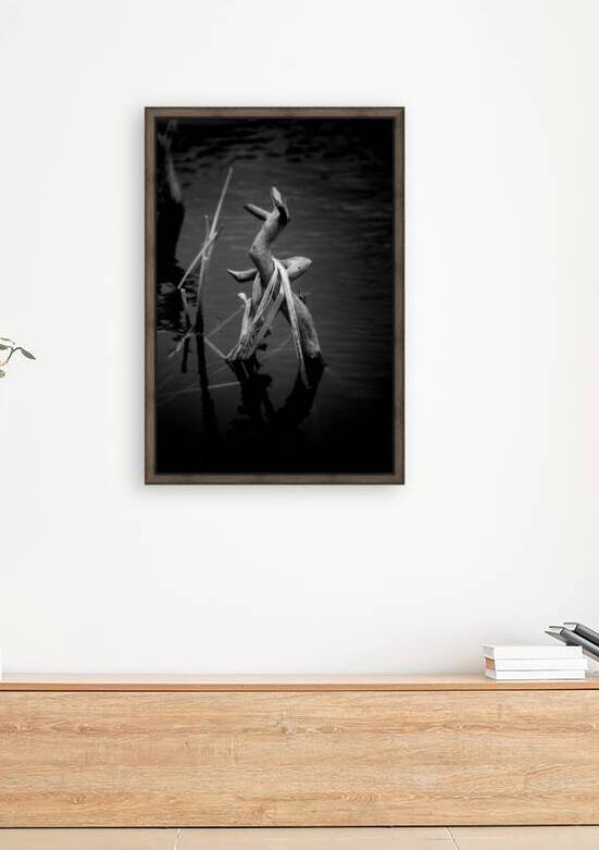 Sylvans Skeleton Waltz by Dream World Images