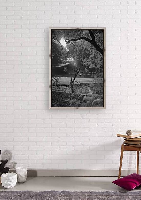 Dance of Light: Lone Sentinel at Dawn by Dream World Images