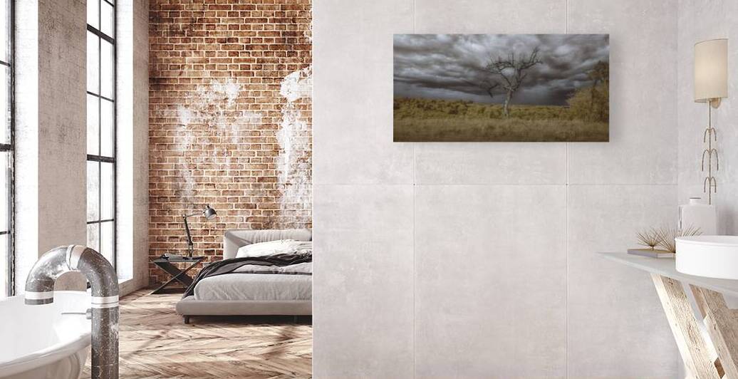 Barren Sentinel Amidst Storms Embrace by Dream World Images