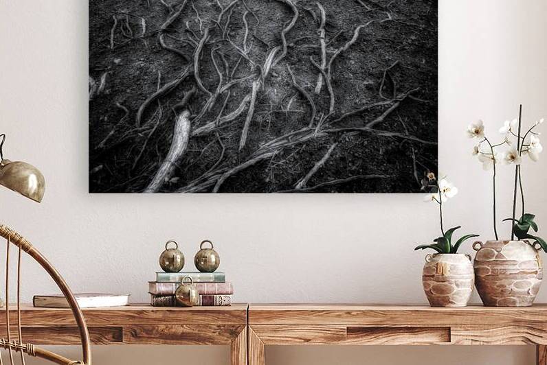 Veins of the Earth by Dream World Images