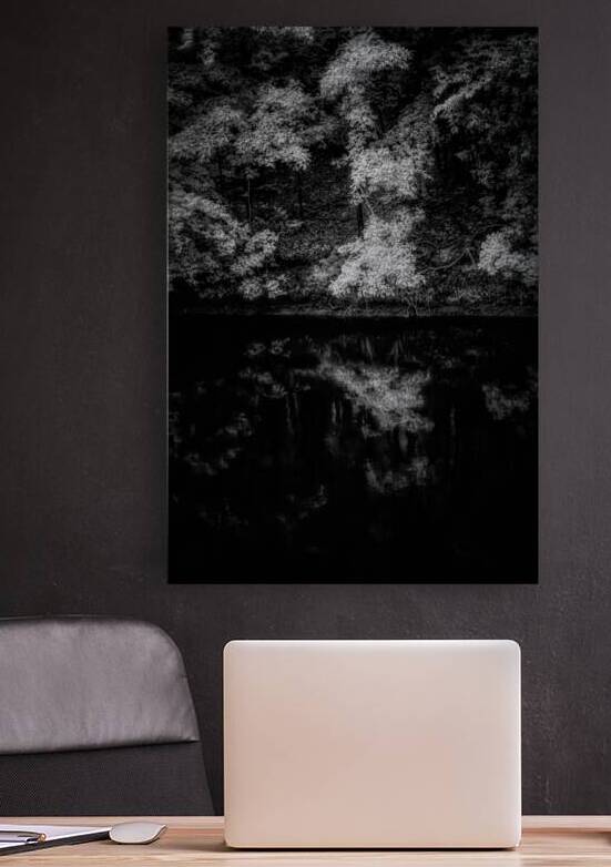 A Forest Reflection: Tims Ford State Park by Dream World Images