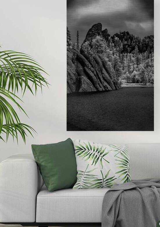 Sylvan Serenity: A Monochrome Tale of Natures Harmony in Custer State Park by Dream World Images