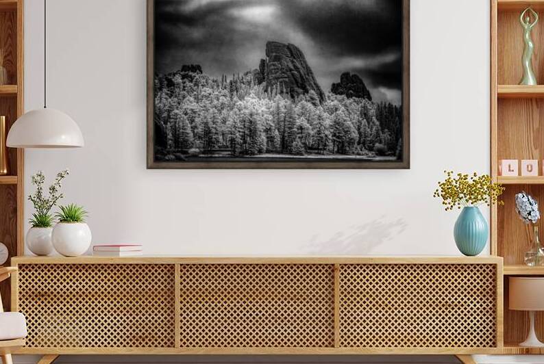 Sylvan Shadows: A Moody Encounter with Natures Drama in Custer State Park by Dream World Images