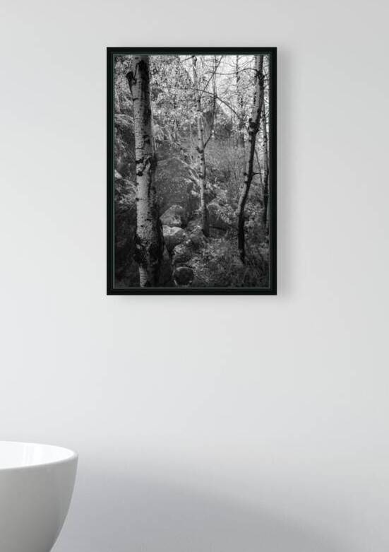 Mystical Aspen Trio: Discovering Sylvan Lakes Hidden Gems by Dream World Images