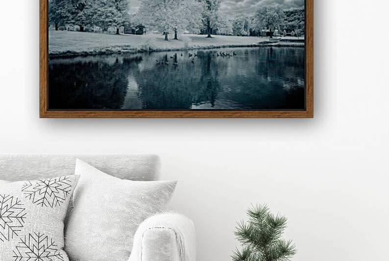 Silent Sentinels: Stonewalls Childhood Trees by Dream World Images