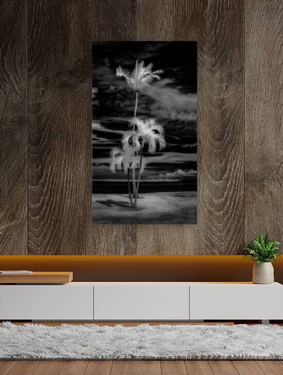 Texture of the Tropics by Dream World Images