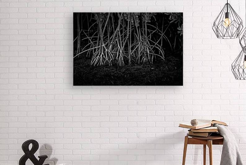 Enchanting Mangrove Tapestry: A Dance of Light and Shadows by Dream World Images