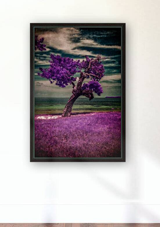 Purple Beach Tree: A Tranquil Portrait of Sunshine Keys Coastal Charm by Dream World Images