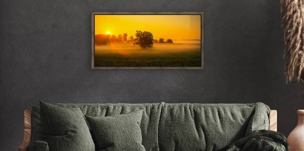 Dawns Embrace: Misty Tree in Gettysburg by Dream World Images