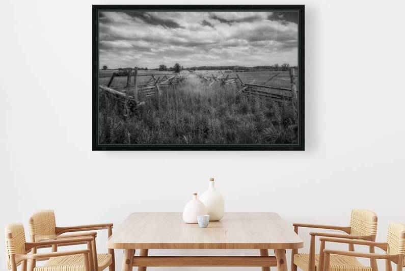 Pastoral Passage: Overgrown farm lane in Gettysburg by Dream World Images