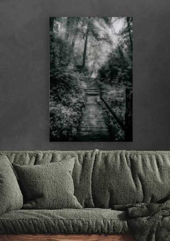 Enchanted Path: A Rain-Kissed Journey in Natural Bridge State Park by Dream World Images