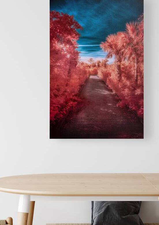 Infrared Stroll Through Tippiecanoes Pink Canopy by Dream World Images
