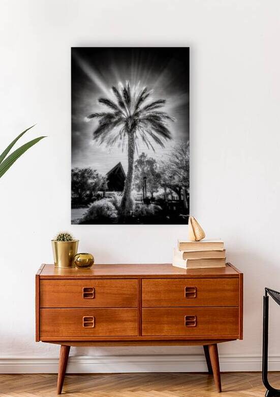 Lighted Palm by Dream World Images