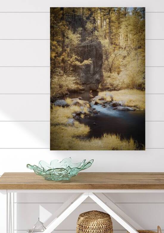 Serenity Unveiled: A Journey Up Grace Coolidge Creek by Dream World Images