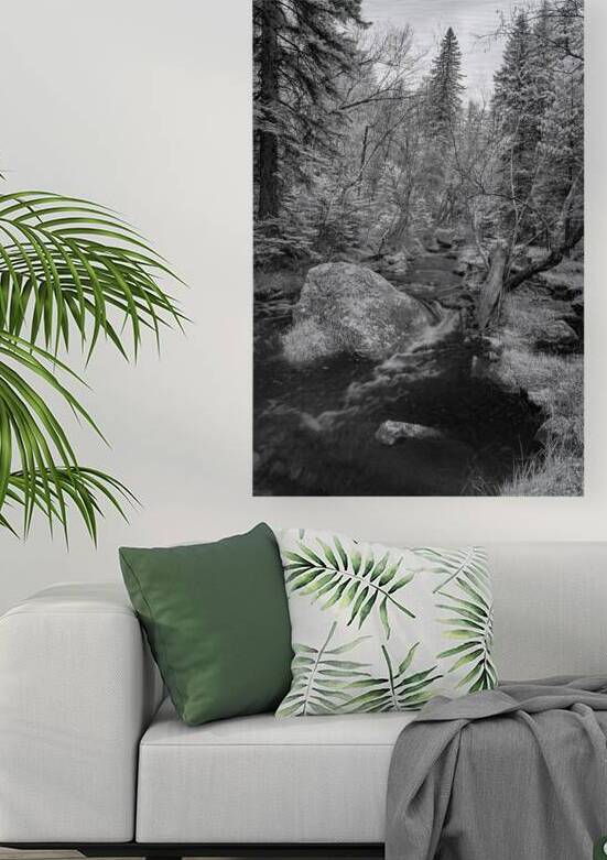 Monochromatic Serenity: Exploring Grace Coolidge Creek in Custer - Tall by Dream World Images