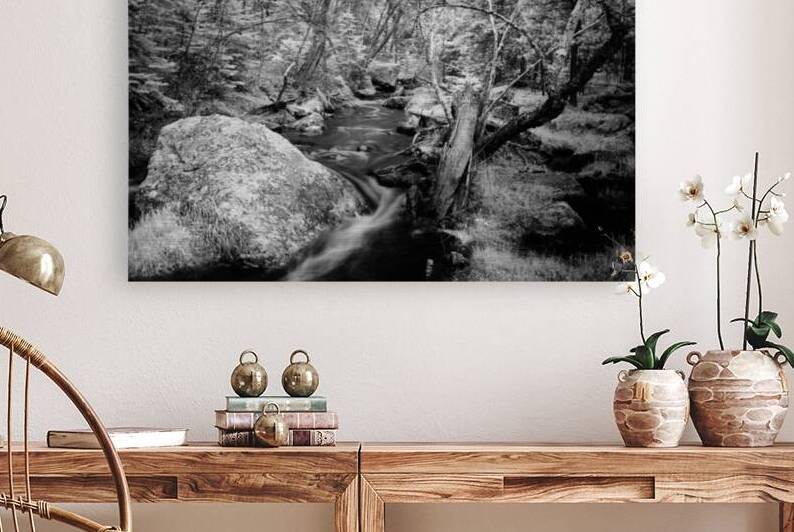 Monochromatic Serenity: Exploring Grace Coolidge Creek in Custer by Dream World Images