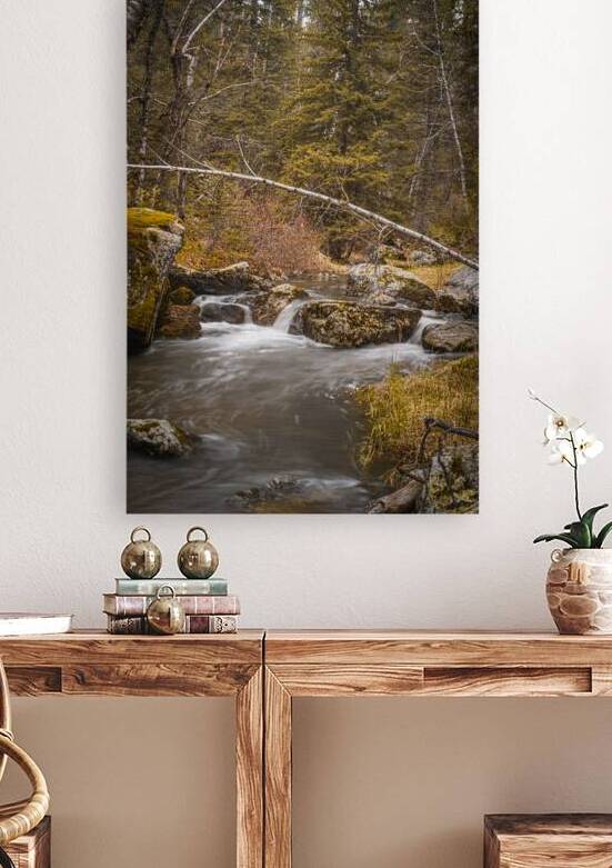 Enchanting Cascades: A Hikers Discovery Along Grace Coolidge Creek by Dream World Images